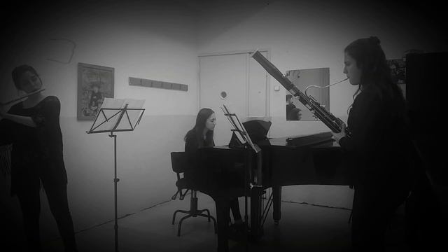 Beethoven-Trio for Piano, Flute and Bassoon in G, WoO 37 смотреть онлайн