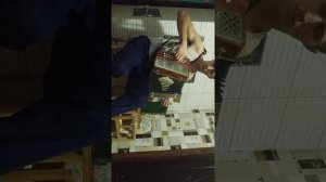 Гармонь кустарная