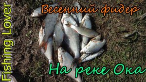 Фидер весной - На реке Ока