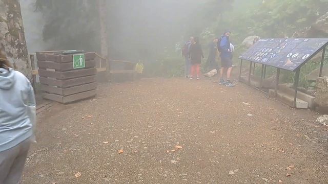 Сочи. Роза Хутор. Ёжики в тумане. Сказочный лес. 20.09.2022г смотреть онлайн