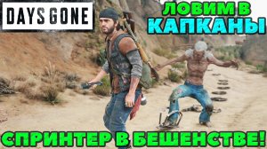 (PS5)Days Gone(Жизнь После) - ✔️Спринтер в бешенстве! Ловим в капканы! Выживание 2!