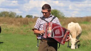 Гармонист Валентин Ерискин. "На завалинке"