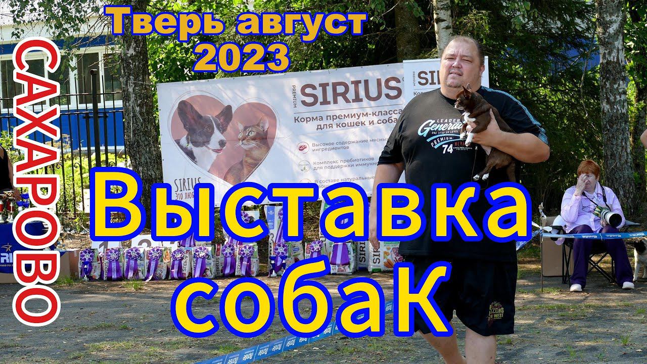 Горячая выставка собак в Твери август 2023 #выставкасобак смотреть онлайн