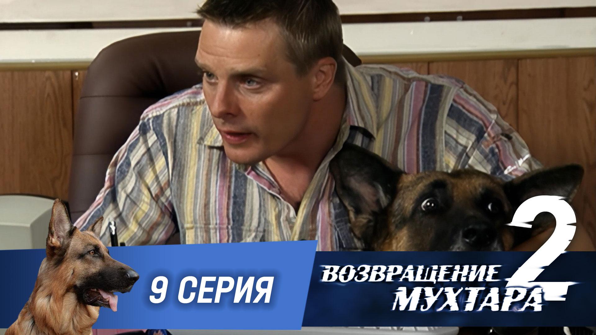 «Возвращение Мухтара — 2». 9 серия. «Собака.ru»