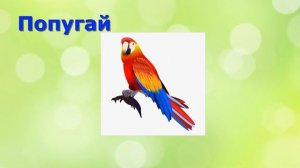 УЧИМ БУКВЫ /Буква П