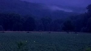 Неправильно настроены таймкоды (полный бред)