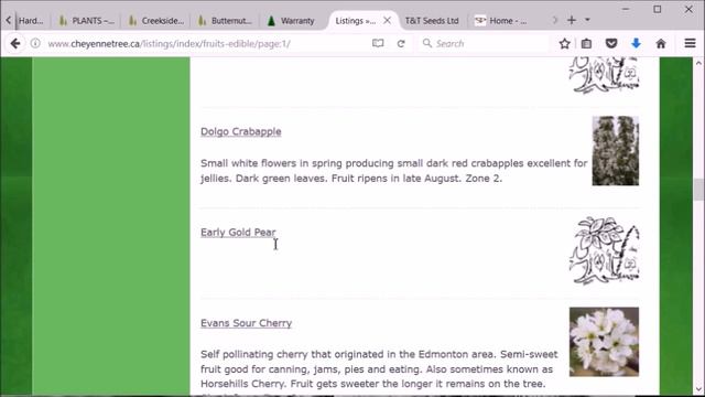 Tree Nurseries for Cold Climate Permaculture Projects Part 2 смотреть онлайн