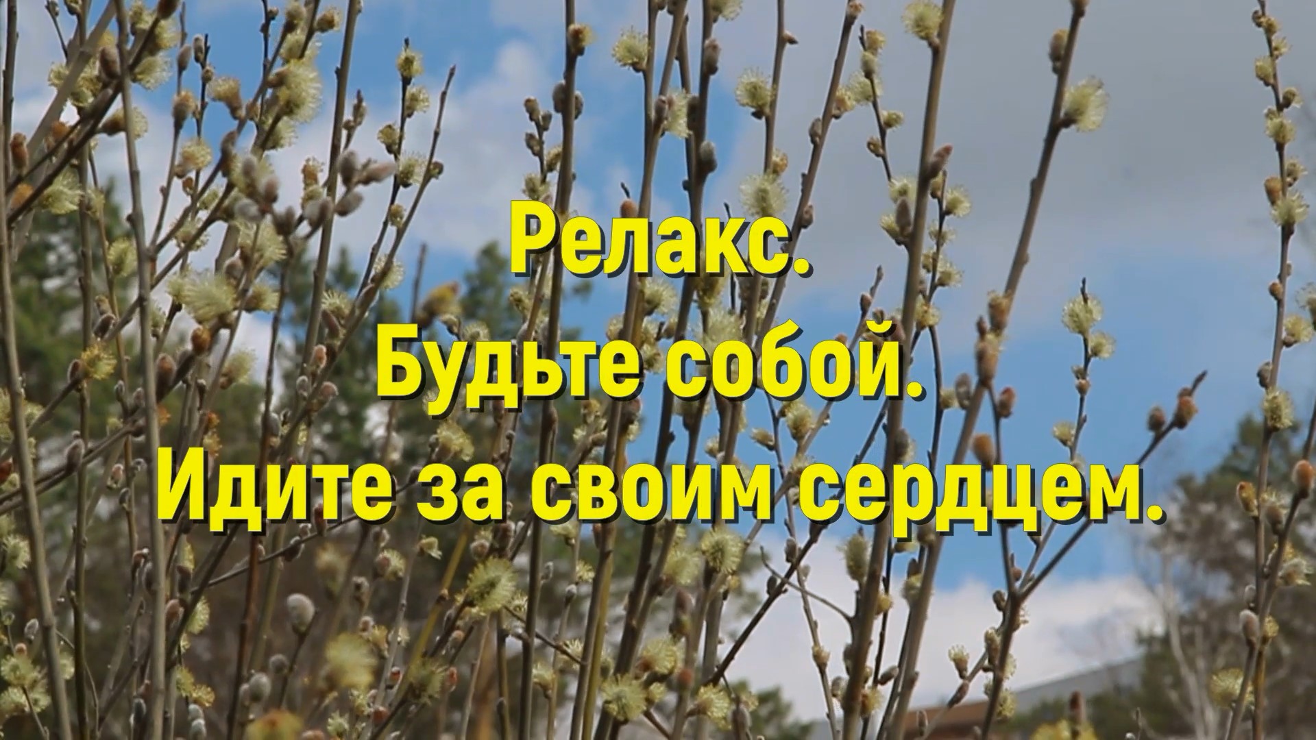 Релакс настрой. Будьте собой, идите за своим сердцем. Читает автор Светлана Авдеева