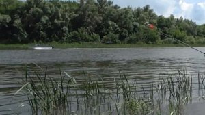 РЫБАЛКА НА КАРАСЯ 2021!  РЫБАЛКА НА ДОНУ на ДОНКИ ЛЕТОМ 2021.