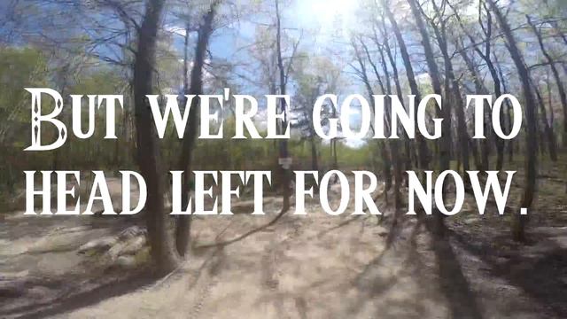 Scranton Trails: The Dunmore Reservoir (The Top of the World) смотреть онлайн