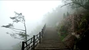 Не благодарный, притча о верности и предательстве.