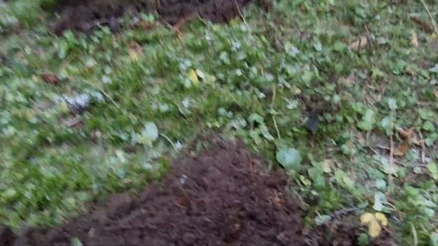 18.11 / Последнее серебро в последний полевой коп смотреть онлайн