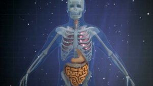 закон бойля мариотта