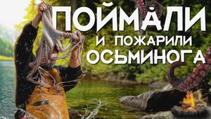 Осьминог на гриле: поймали в речке и сразу приготовили