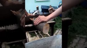 пила дружба -2