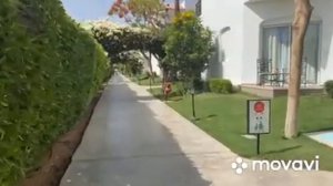 Шарм-эль-Шейх. Об отеле Джаз Фанара.