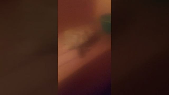 обзор на банную печь Aston inex 12 смотреть онлайн