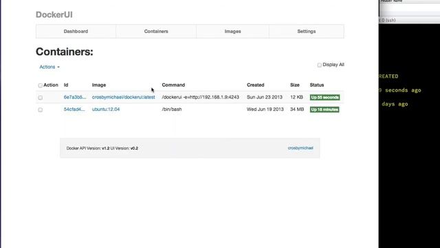 DockerUI v0.2 смотреть онлайн