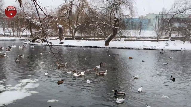 Прогулка по заснеженному городу  Зима Краснодар 2021. Winter Krasnodar 2021