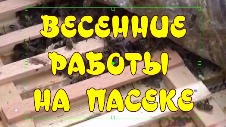 ВЕСЕННИЕ РАБОТЫ НА ПАСЕКЕ. КАРНИКА ВЕСНОЙ (Spring work in the apiary) смотреть онлайн