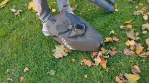 Пылесос садовый Sterwins 3KWT 3000 Вт. КАК МЫ УБИРАЕМ ЛИСТЬЯ ОСЕНЬЮ.СБОР ЛИСТВЫ.