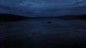 Встреча с медведем на озере Виви (Эвенкия)