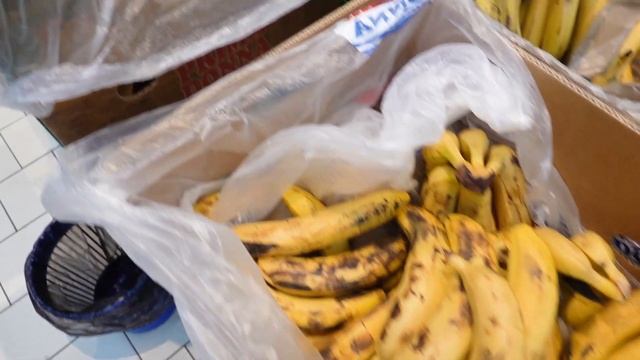 VLOG Сюрприз для Снежаны. Купили попугая ара смотреть онлайн