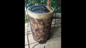 Как сделать ловушку для поимки роев своими руками