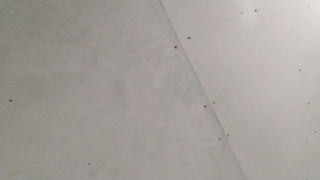 Как решить проблему с саманным ( турлучным ) потолком