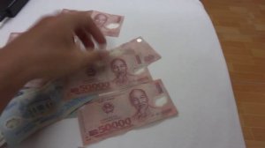 Как выглядят вьетнамские деньги донги