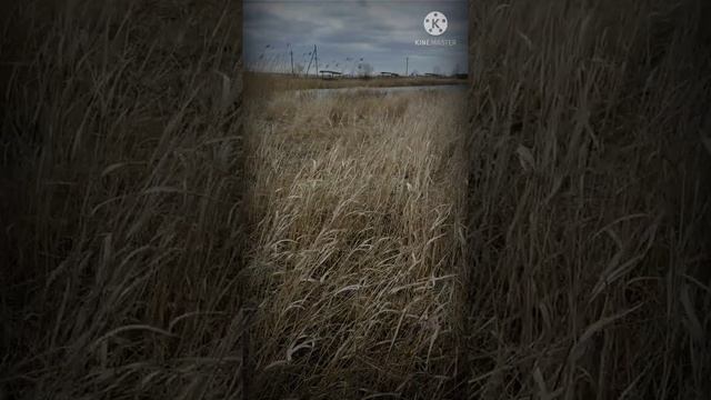 М.Ю. Лермонтов "Весна" смотреть онлайн