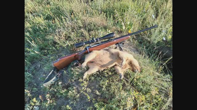 Охота на сурка! смотреть онлайн