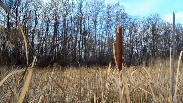 Растущая луна с 15 - 29 декабря. Что можно и что нельзя делать ... Влияние на человека ... смотреть онлайн