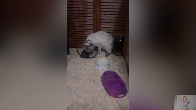 Влог мастера маникюра❤️ распаковка с wb??не подошли салфетки для Verakso?ПРИКОРНЕВОЙ ОБЬЕМ ? смотреть онлайн