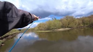 РЫБАЛКА НА ДОНКИ крокодил! Ловля разной рыбы в красивом месте детства!