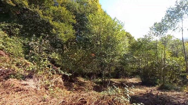 1 млн. руб недорогой участок в Мацесте Сочи