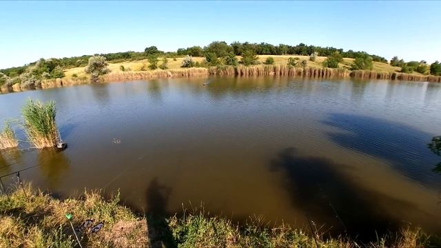 САЗАНИ НЕ ДАЮТЬ ПЕРЕКУРИТИ смотреть онлайн
