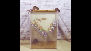 Супер ловушка для крыс и мышей своими руками