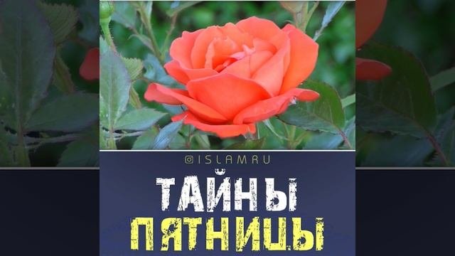 Тайны пятницы