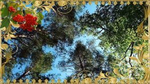 Автор-исполнитель Валерий Залкин - А над рекой...