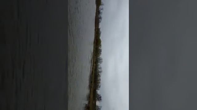 Флагман 350.Рыбалка на Лифе.3 мая 2017 г. смотреть онлайн