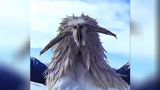 you wont understand this meme until 2027 смотреть онлайн