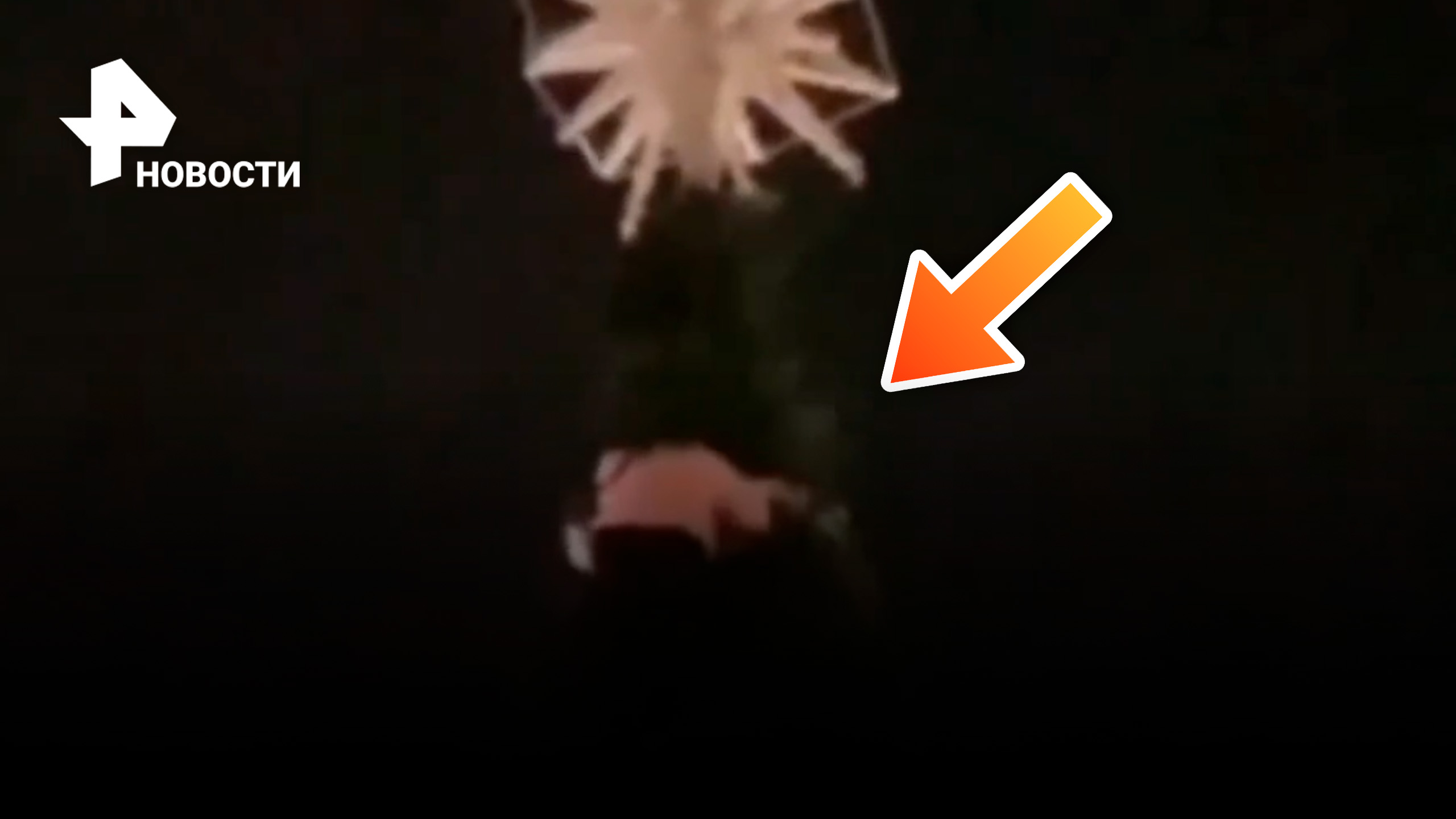 Пьяная девушка залезла на 20-метровую елку в Геленджике / РЕН Новости