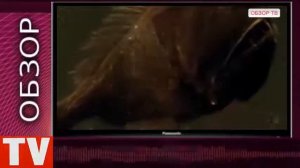 ПУШКИНО  Соблезубая  Рыба  Гадюка