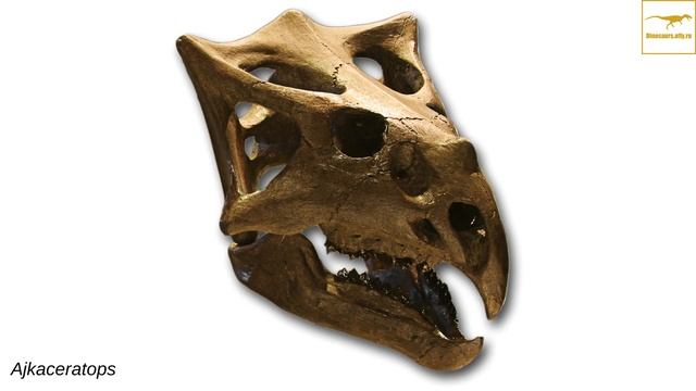 Айкацератопс — Динозавры смотреть онлайн