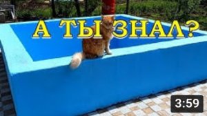 УРАА!! Открываем купальный сезон: обзор моего БАССЕЙНА после зимы???