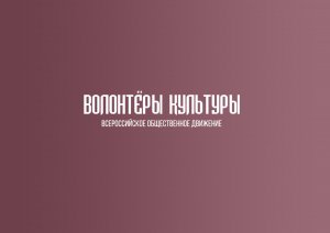 Областной вебинар волонтеров культуры