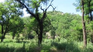 Что такое ТЕРРИКОН или Несколько слов из истории жителей Донбасса для общего развития.