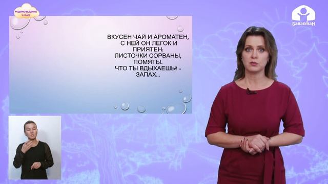 Родиноведение 2 класс / Растения / ТЕЛЕУРОК 24.12.20