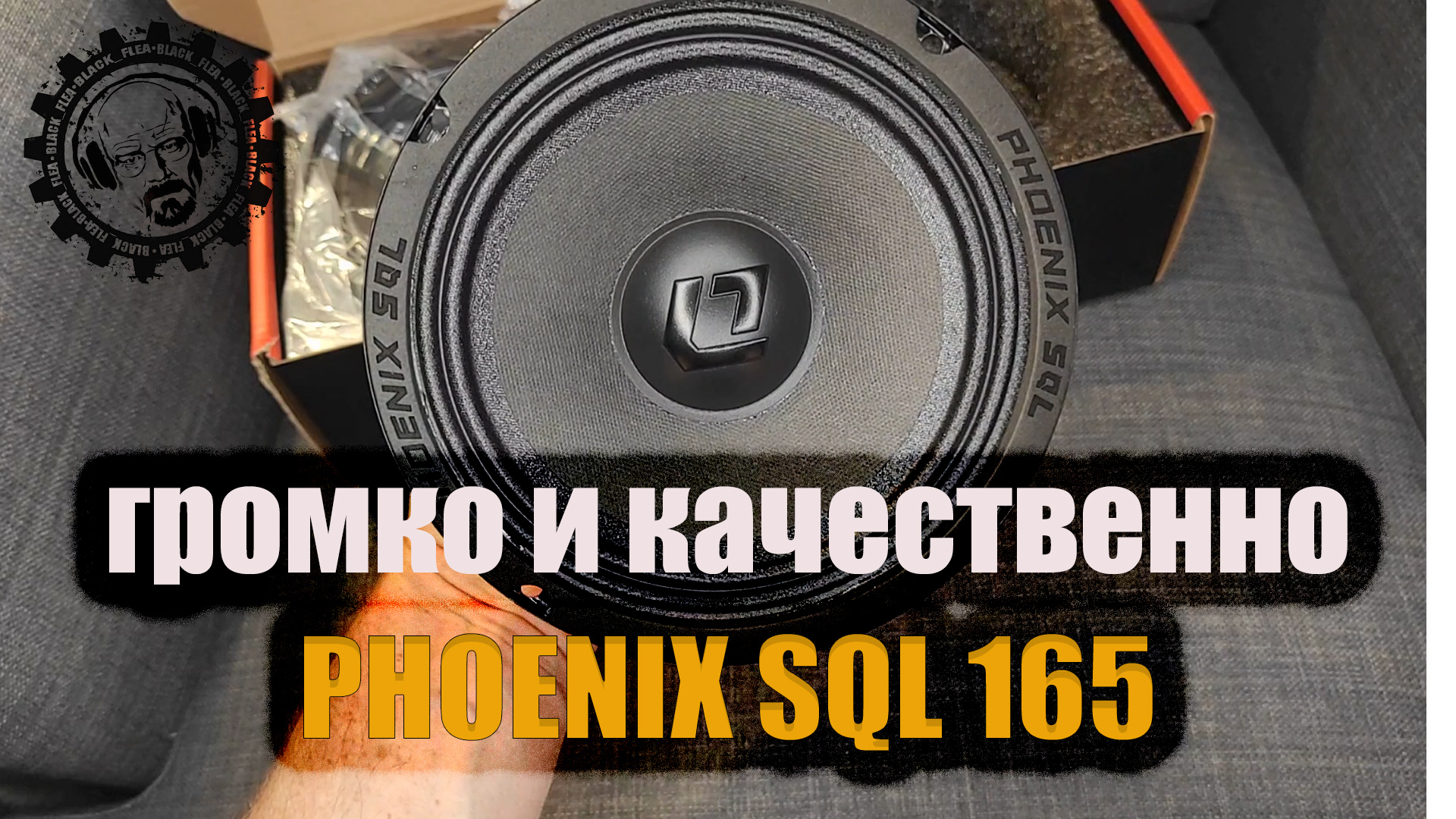 Dl phoenix sql. Феникс sql 165. dl audio phoenix sql neo 165. dl audio sql 165. dl audio phoenix sql 165 купить.